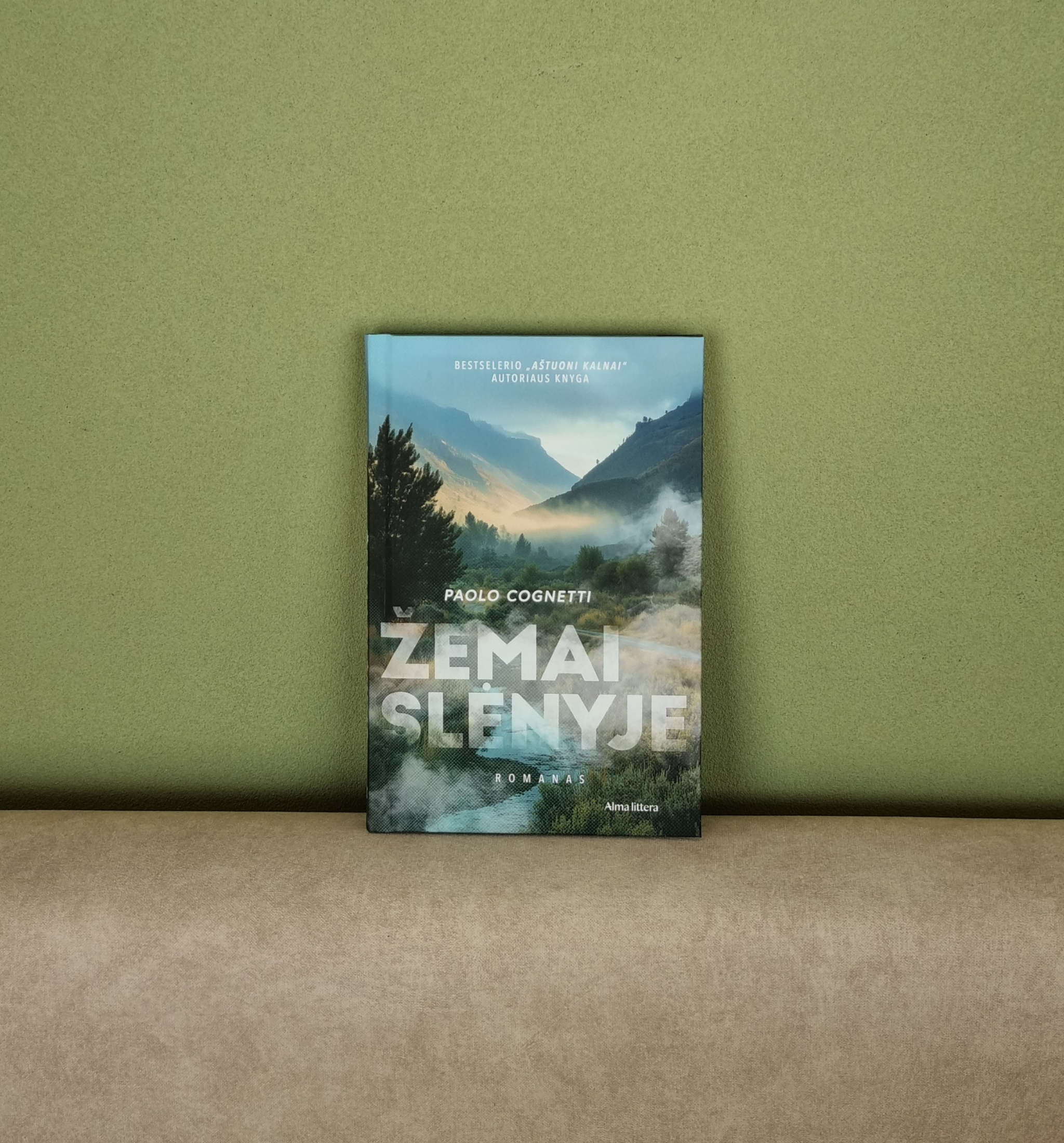 Žemai slėnyje, Paolo Cognetti, knygos, knygų apžvalgos, Karolina Jocienė, tekstų rašymas, kemsynai