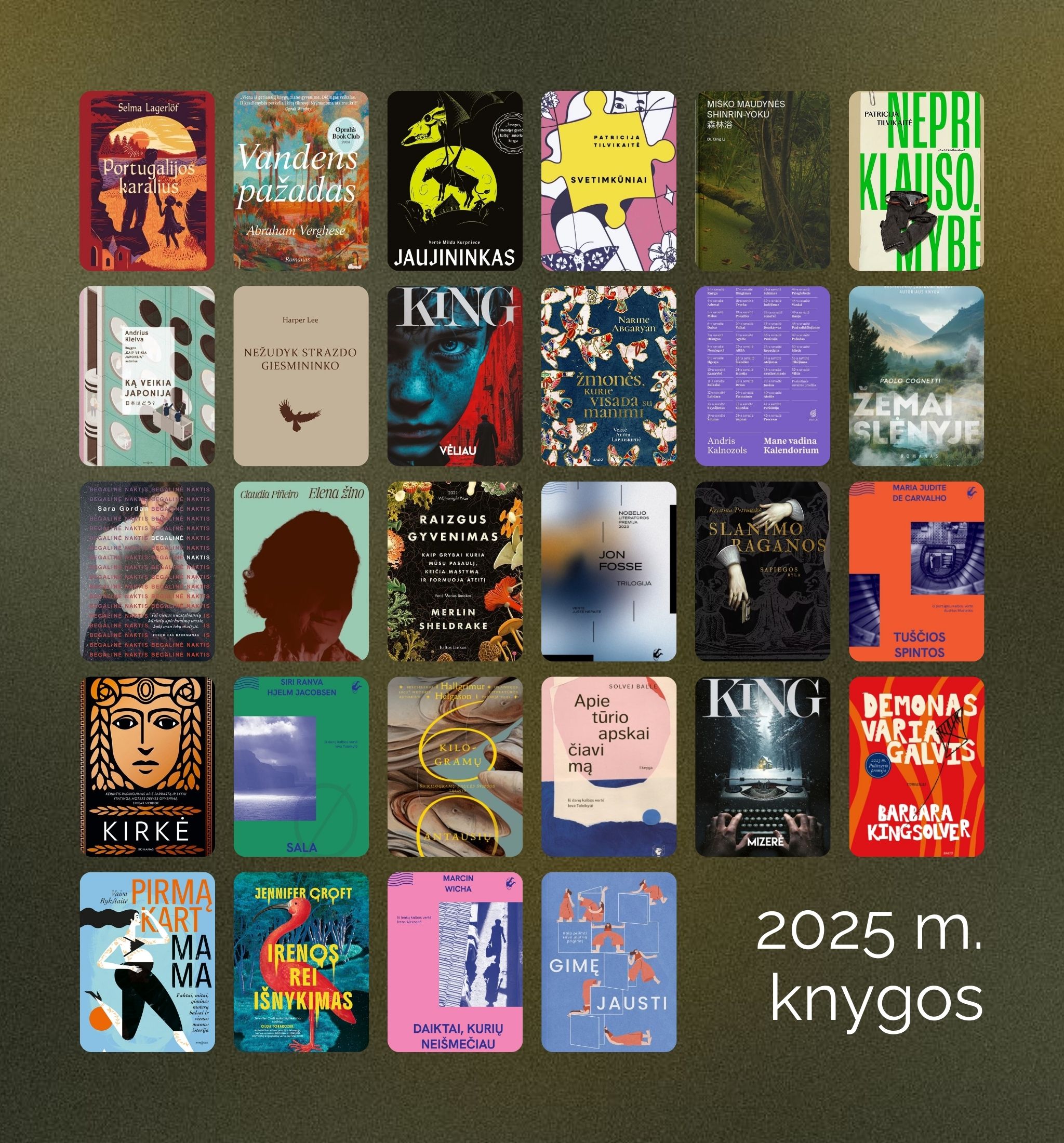 Knygos, Karolina Jocienė, kemsynai, tekstų rašytoja, Begalinė naktis, Elena žino, Raizgus gyvenimas, Trilogija, Slanimo raganos, Tuščios spintos, Kirkė, Sala, 60 kilogramų antausių, Apie tūrio apskaičiavimą, Mizerė, Demonas Variagalvis, Pirmąkart mama, Irenos Rei išnykimas, Daiktai kurių neišmečiau, Gimę jausti